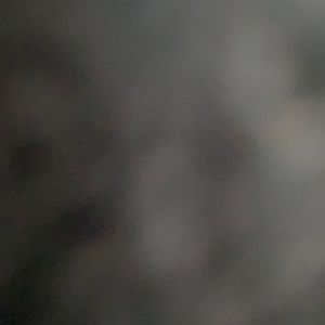 Meet your Posher, Trey